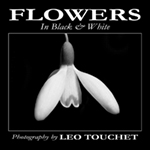 flowers Book Front Cover Layout