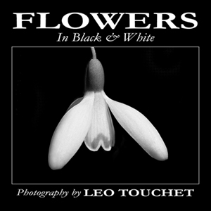 Flowers front coverphoto