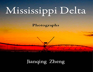 Mississippi Delta Front Cover